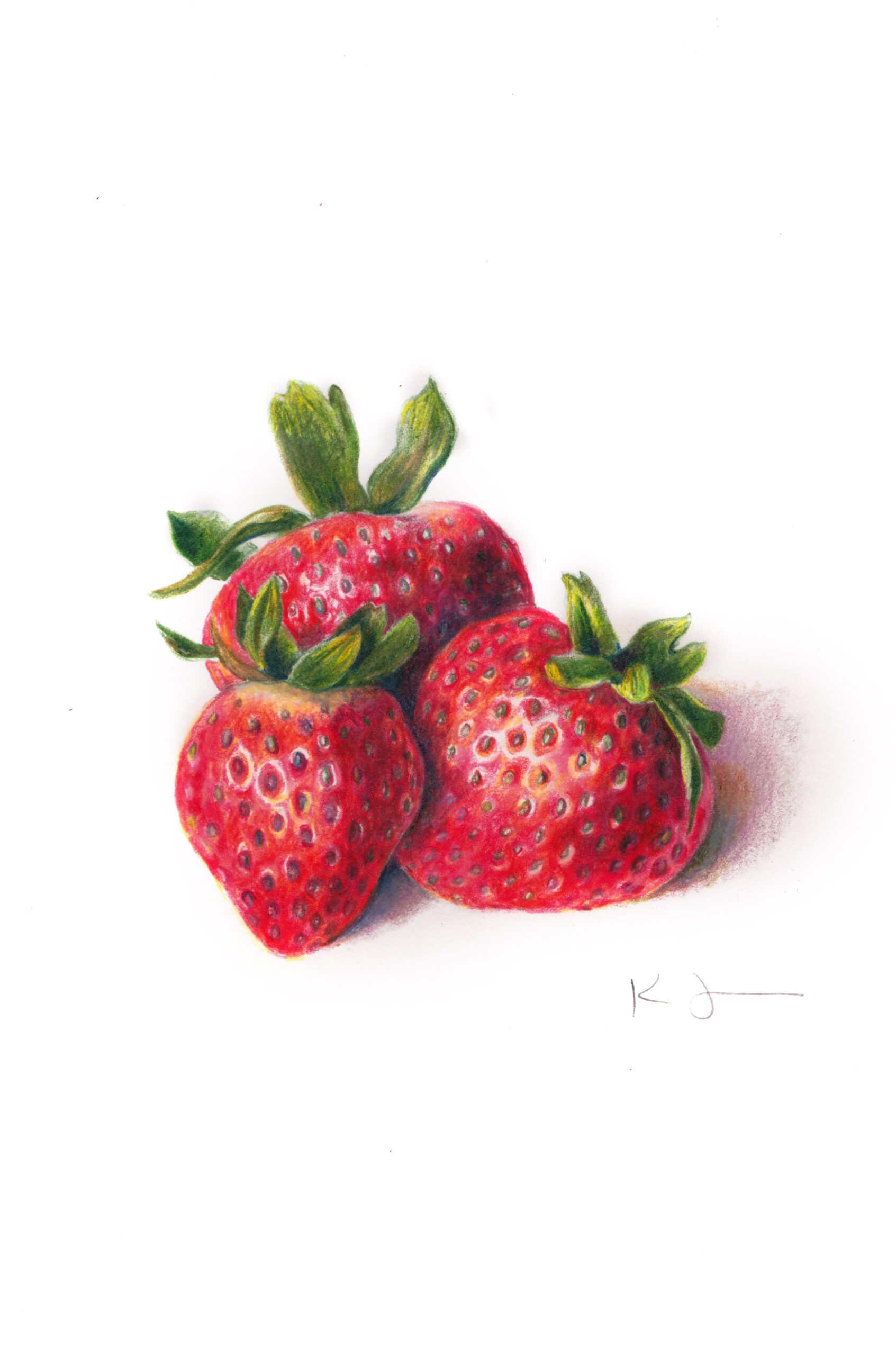 Strawberries by Katy Lyness